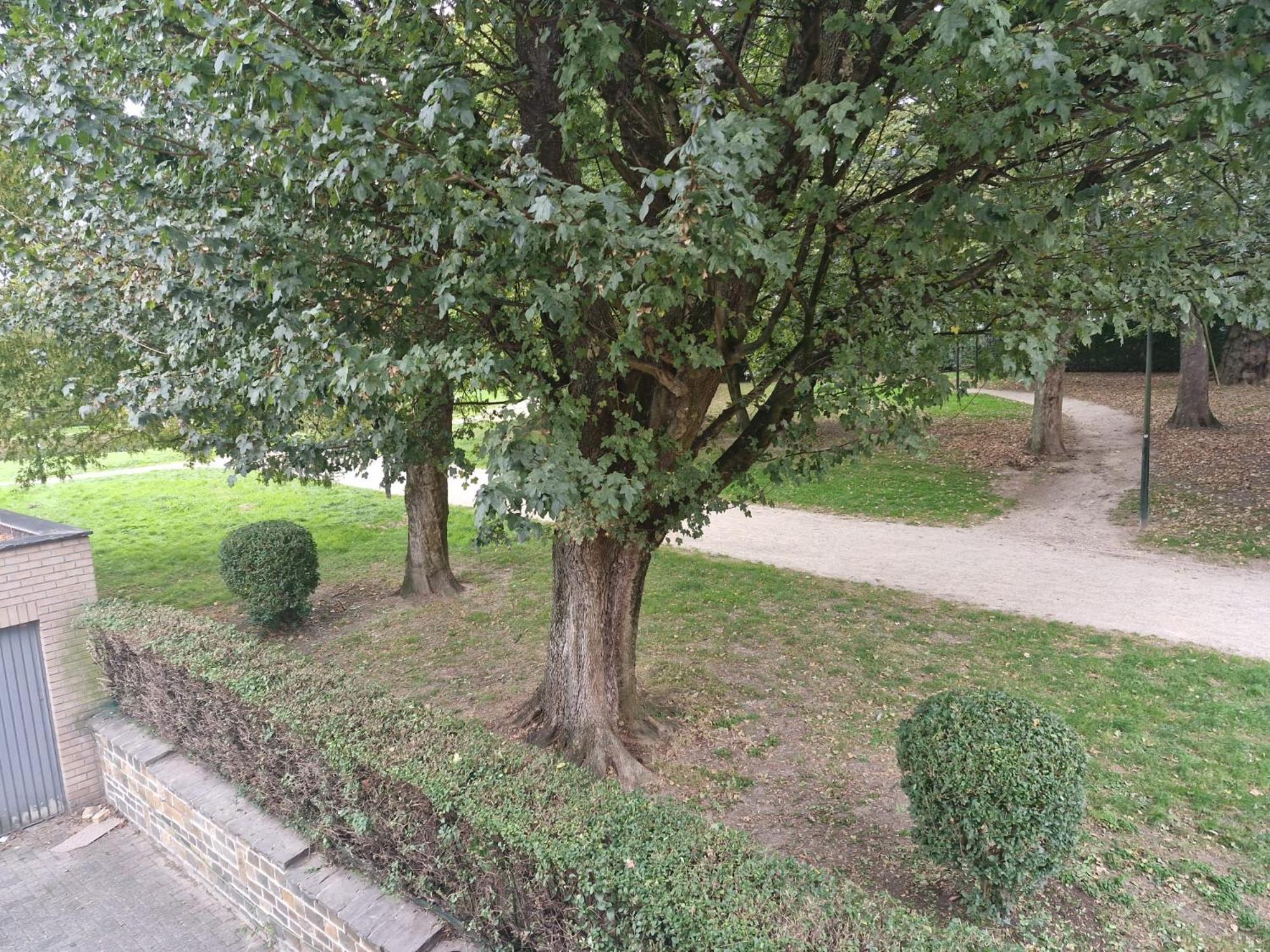 Luxe Bruxelles — Photos 2